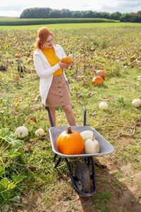 pumpkin patch visit, pumpkins, fall time, fall inspo, fall bucket list